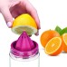 Manual Fruit Infuser Juicer Bottle 900 ML