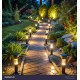SOLAR LIGHT & GARDEN ITEMS