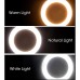 10 inch Ring Light Portable