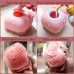 Body Scrubber Brush