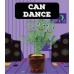 Cactus Dancing Talking Baby Toys