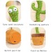 Cactus Dancing Talking Baby Toys