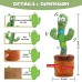 Cactus Dancing Talking Baby Toys
