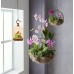 Chirping Bird's Pinjra Bird Toy