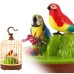 Chirping Bird's Pinjra Bird Toy