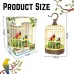 Chirping Bird's Pinjra Bird Toy