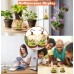 Chirping Bird's Pinjra Bird Toy