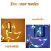 Diya Curtain LED Lights with 6-Big 6-Small Diya