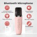 G2 Speakar with 2 mic Mini Karaoke