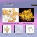 Golden Matel LED String Light