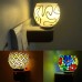 Kapoor Dani Cum Night Lamp