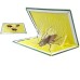 Mouse Glue Pad For Rats , Mosquitoes, Cockroaches