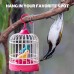 Talking Bird Toys for Kids Speaking