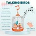 Talking Bird Toys for Kids Speaking