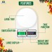 kitchen Digital Weight Scale