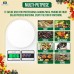 kitchen Digital Weight Scale