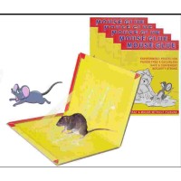 Mouse Glue Pad For Rats , Mosquitoes, Cockroaches