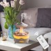 Rain Cloud Humidifier