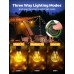 Solar Camping Bulb Light Portable & Rechargeable