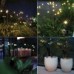 6 Led Outdoor Solar Lights For Garden ( 2pc )