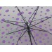 Dotted Umbrella