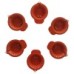 Water Diya ( Minimum 6pc  )