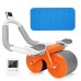 Abs Roller Wheel